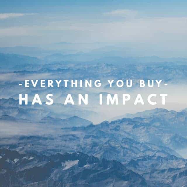 Everything You Buy Has An Impact | Blog Article