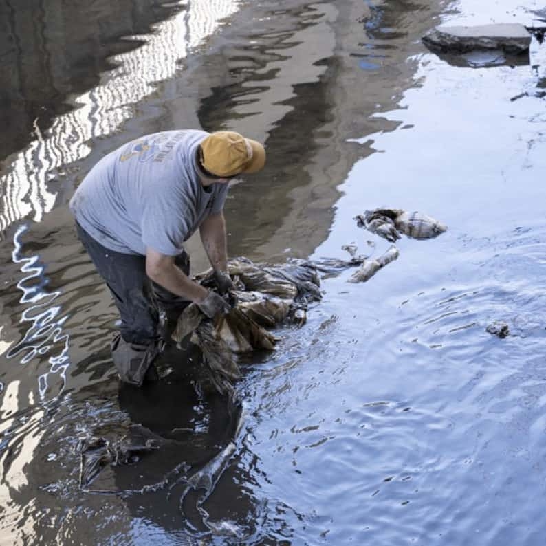 Iowa City River Cleanup for Earth Day