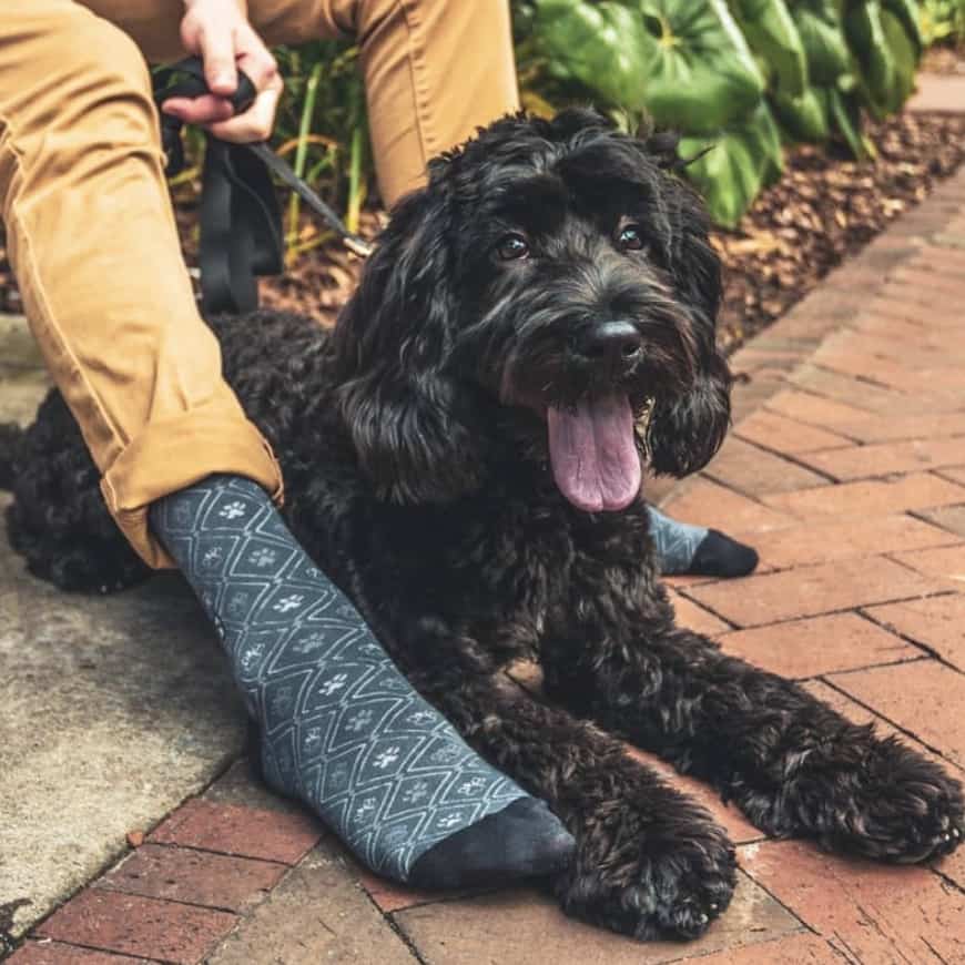 Socks That Save Dogs by Conscious Step