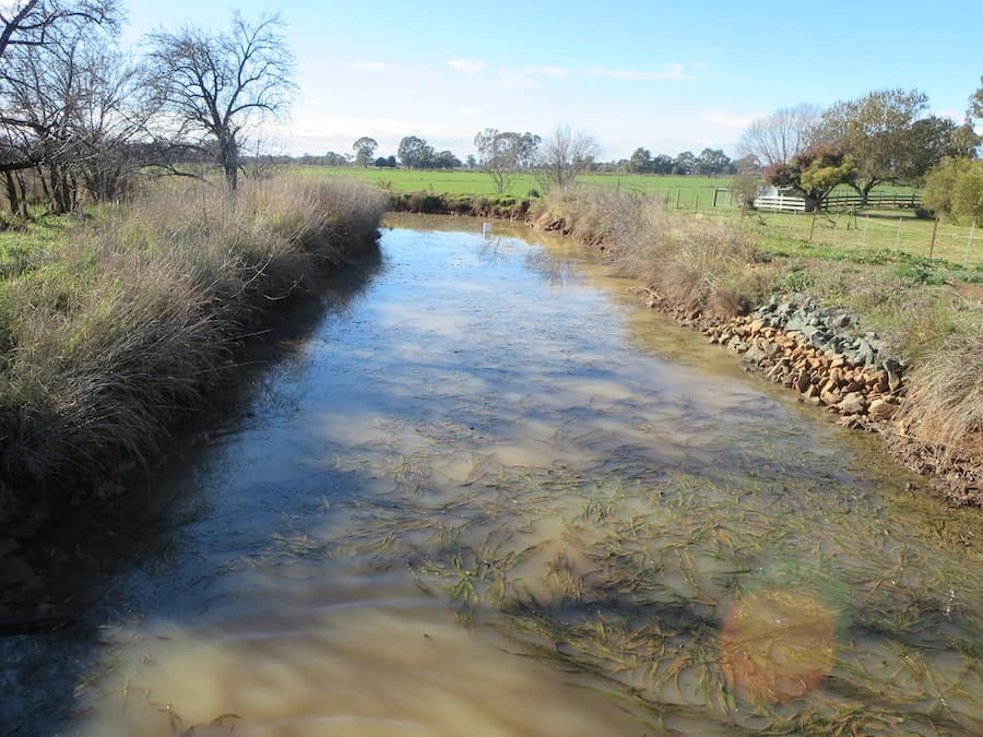 Pesticide pollution in waterways