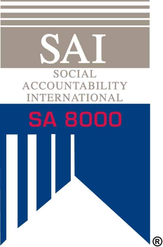 SA 8000 logo