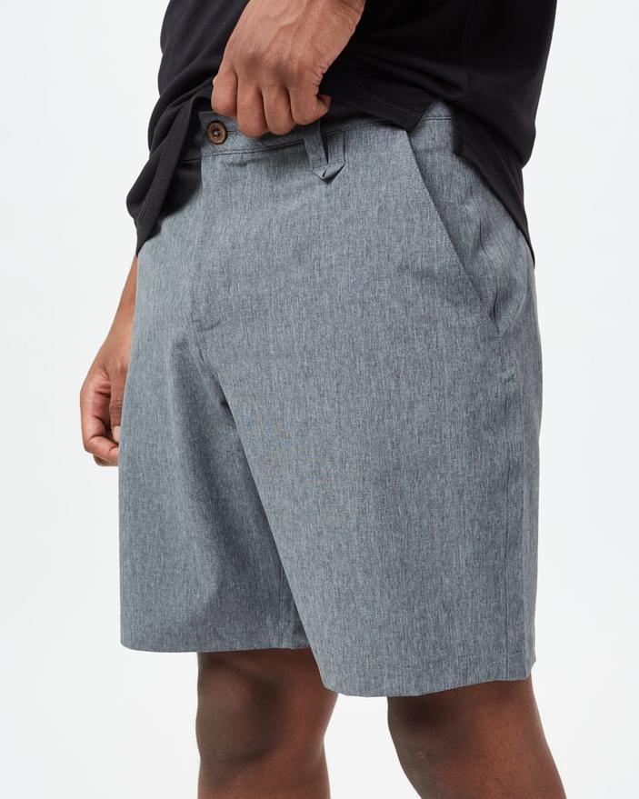 Tentree latitude shorts