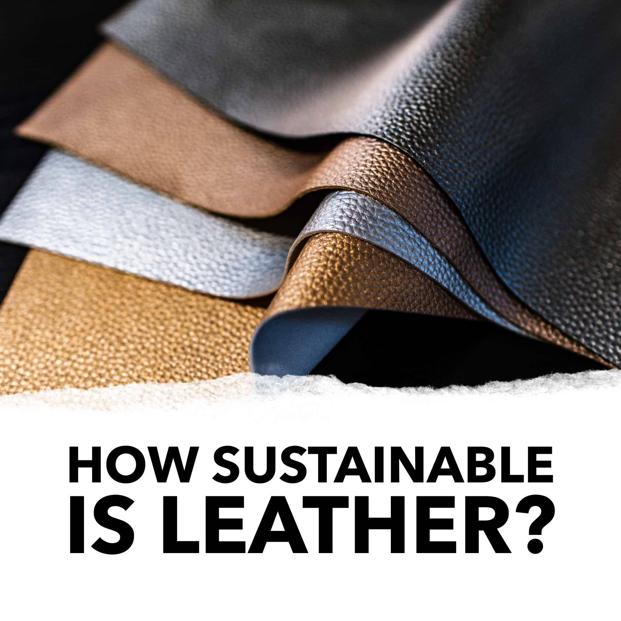 How sustainable is leather lets discuss