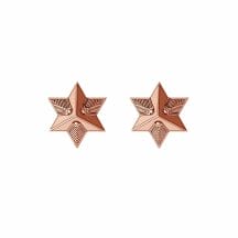 Star Stud Earrings- Rose Gold