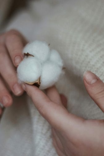 farmer holding cotton crop