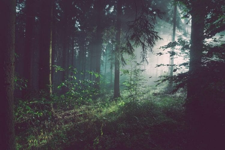 what-is-sustainable-living