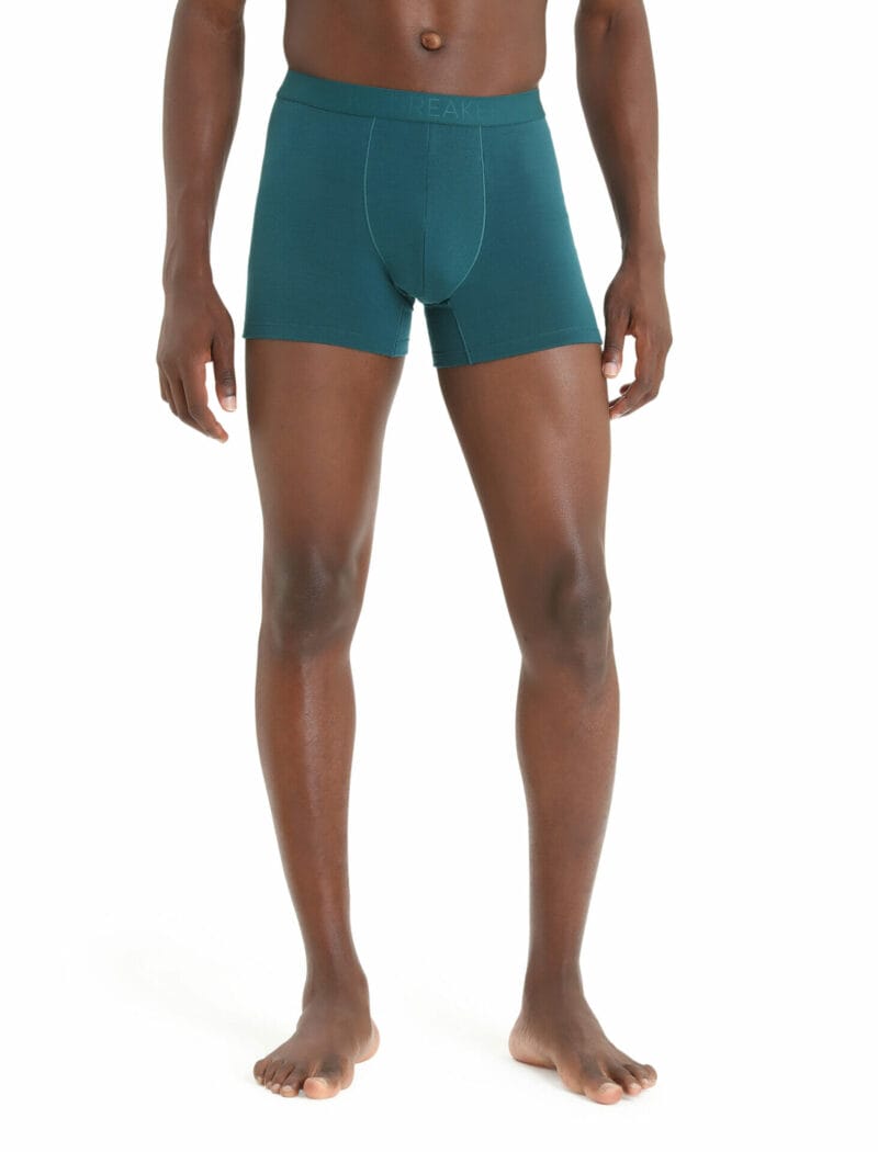 icebreaker Men's Cool-Lite™ Merino Anatomica Boxers | Size Large | Green Glory | Merino Wool//Tencel