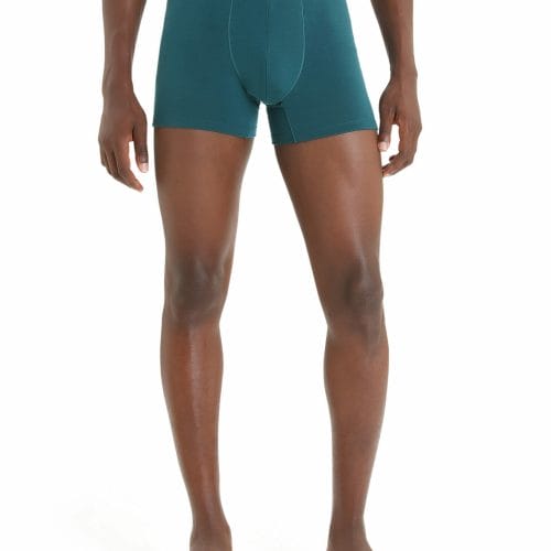 icebreaker Men's Cool-Lite™ Merino Anatomica Boxers | Size Large | Green Glory | Merino Wool//Tencel
