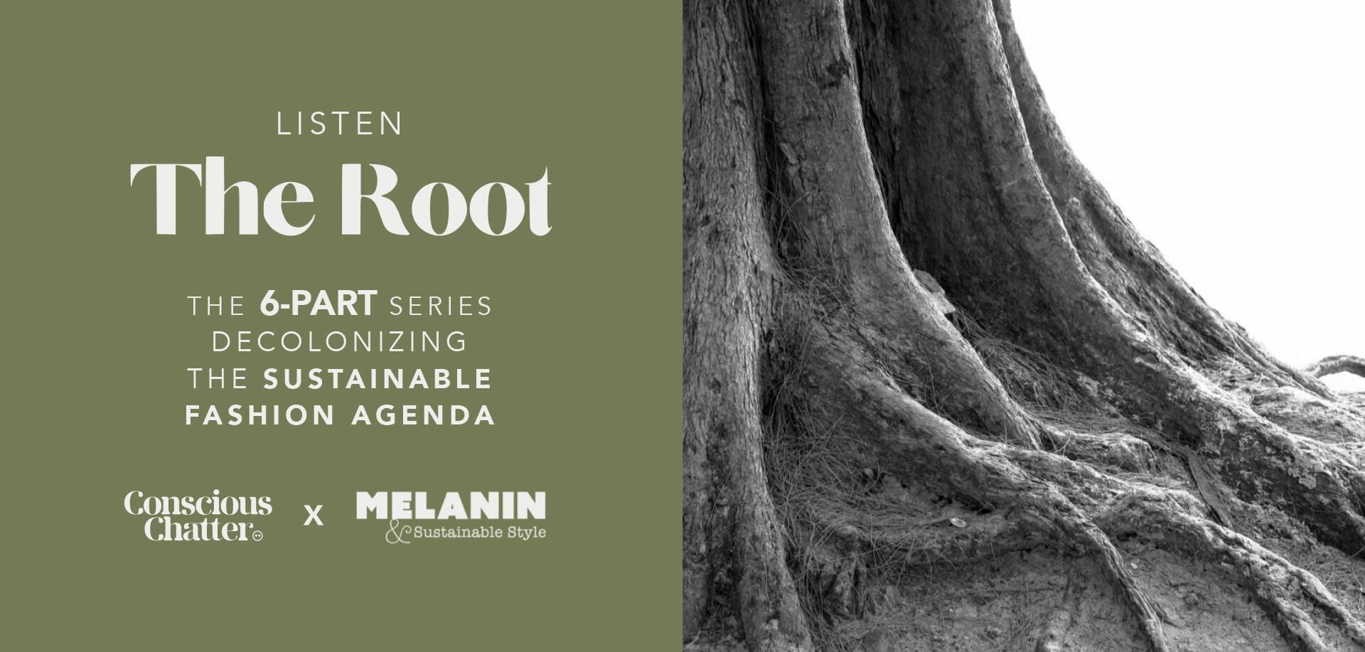 The Root mini series on Conscious Chatter podcast 