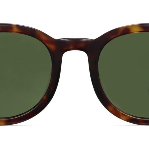 Ryland Medium Sunglasses in Cognac Tortoise (Non-Rx)