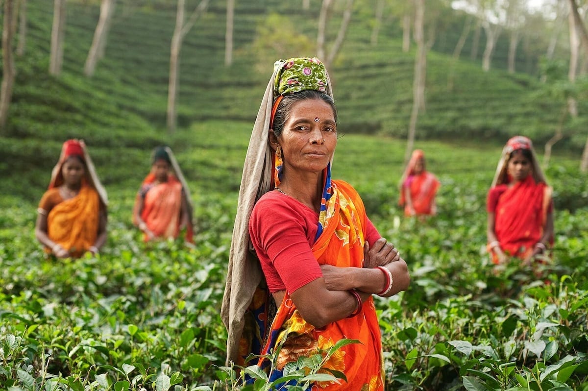 women farming in field in India