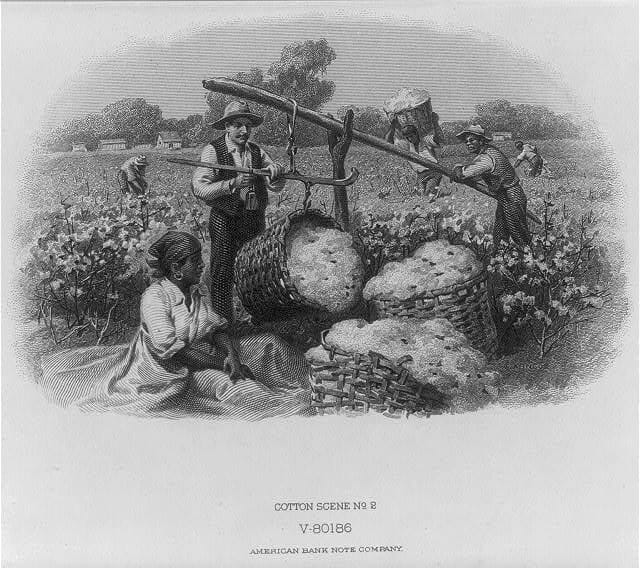 scenes-in-cotton-field-white-man-weighing-cotton-picked-by-blacks