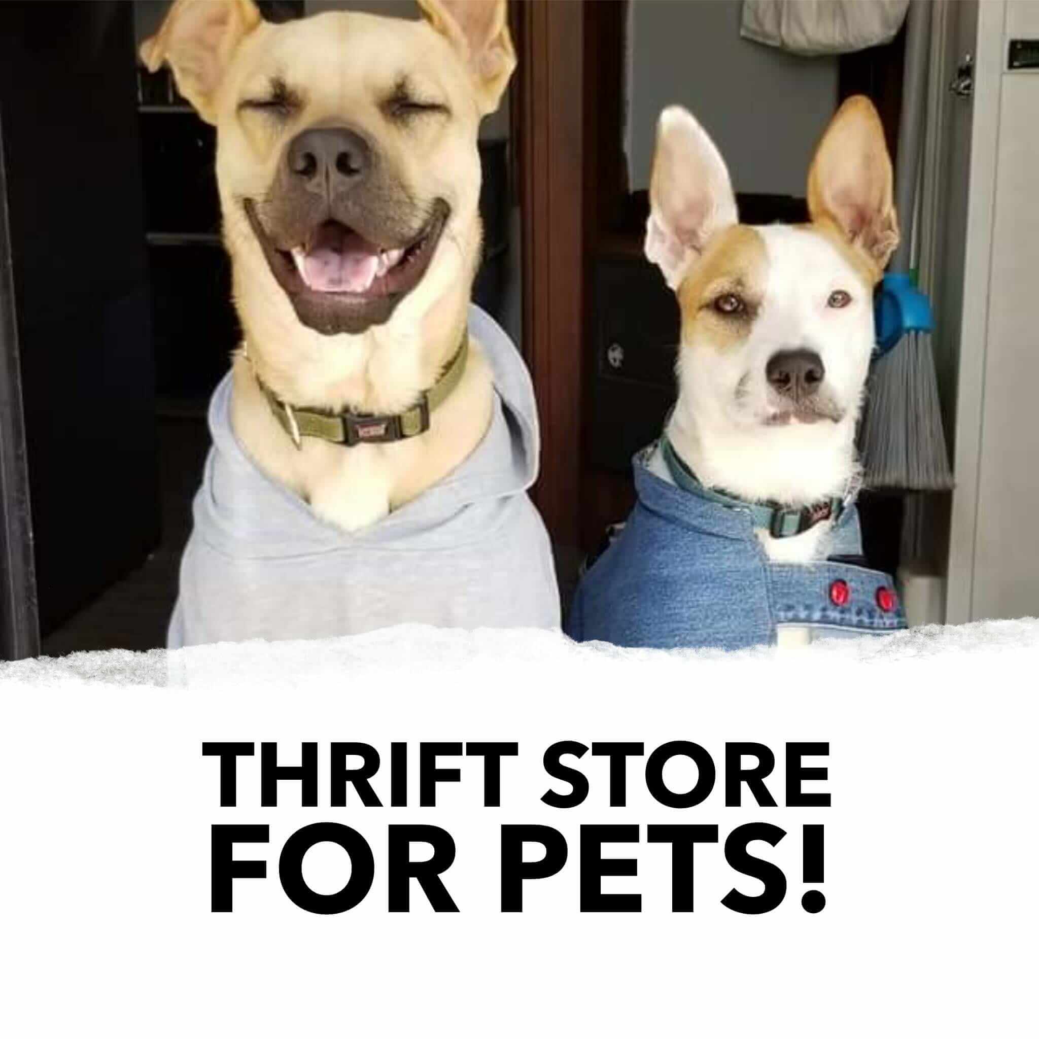 Thrift Store for Pets Eco-Stylist