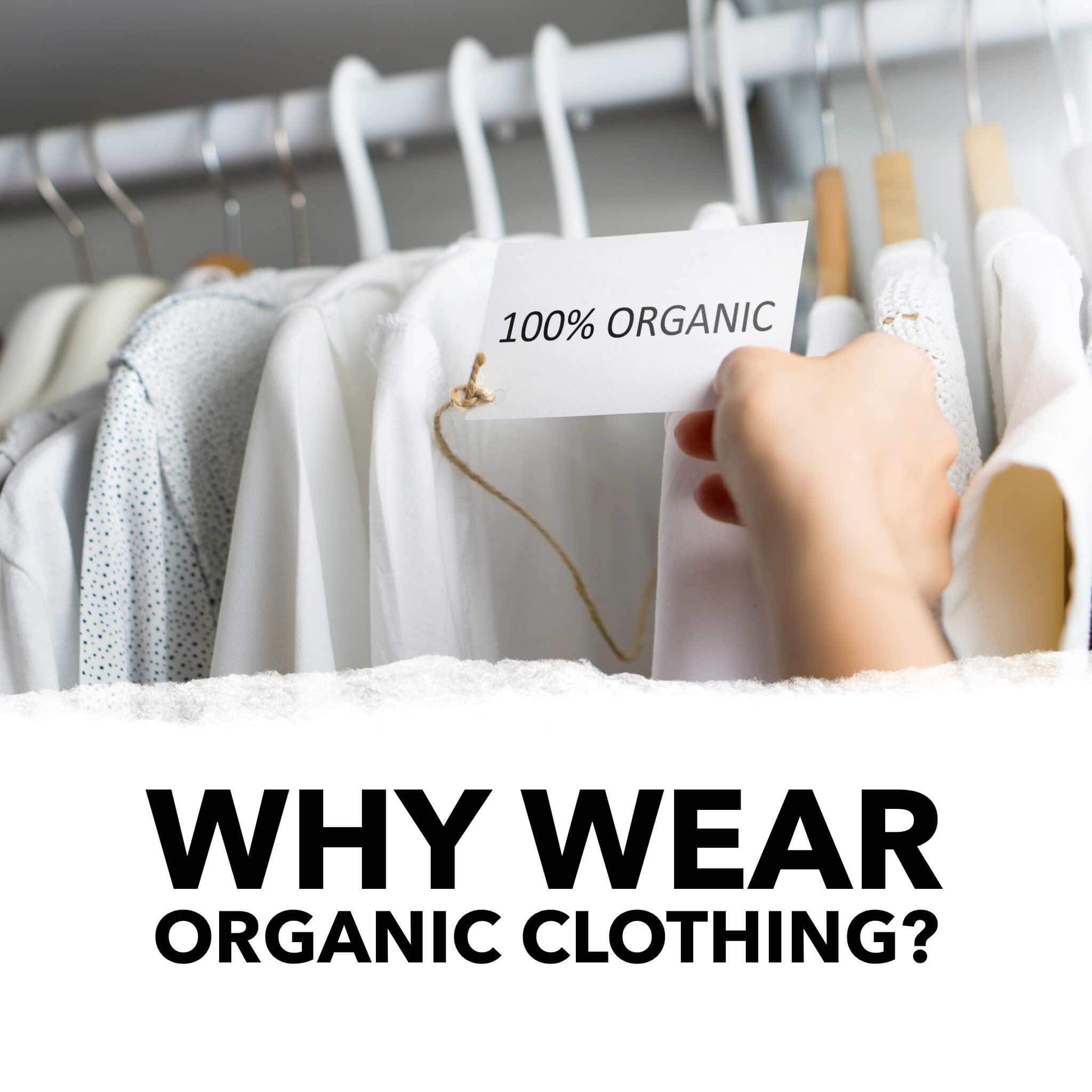 why wear organic clothing featured image