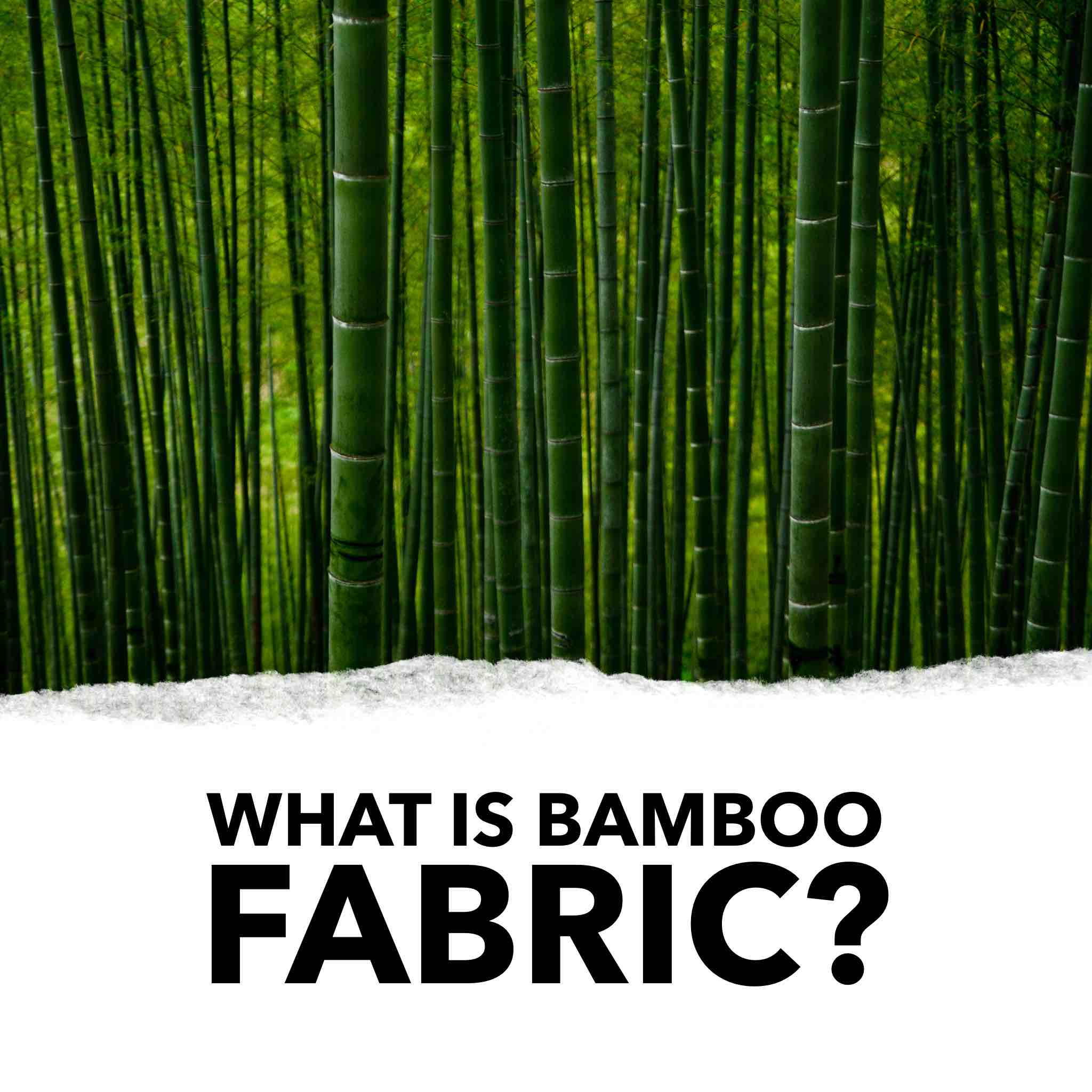 Are bamboo clothes and fabrics sustainable?