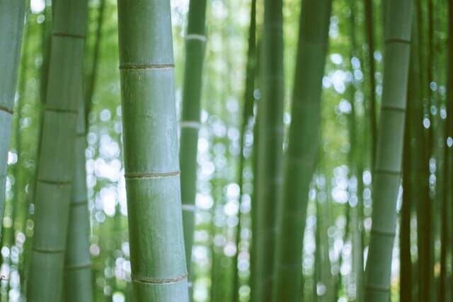 sustainable fabrics bamboo viscose 