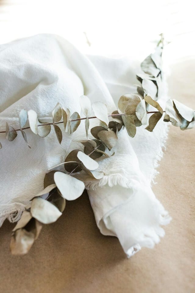 An illustration of a natural fabric with a decorative plant. Image by Bree Anne from Unsplash
