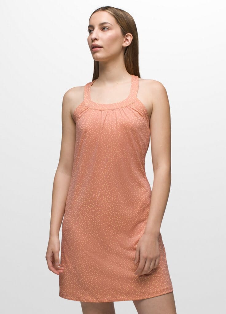 Women's prAna Cantine Dress - Cloud Blush Spots