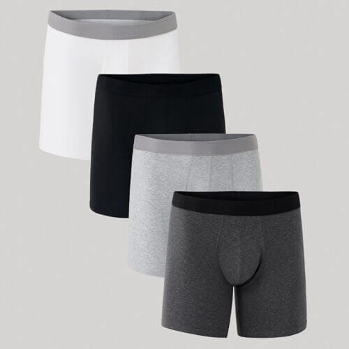 Men's Everyday Everyday Extended Boxer Brief 4-Pack L