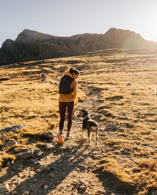 Woman and a dog on a walk in the mountains, looking at each other