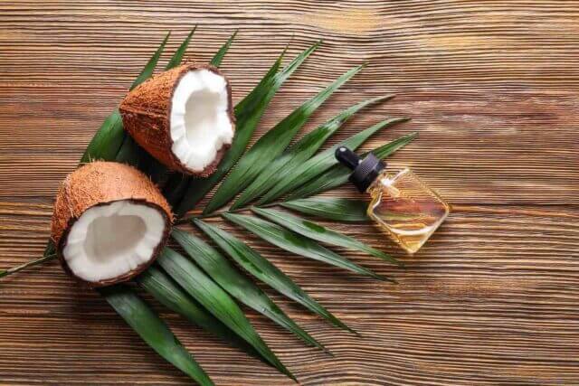 Embracing the Coconut Fragrance Trend