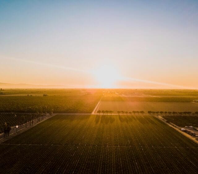 agricultural farmland 