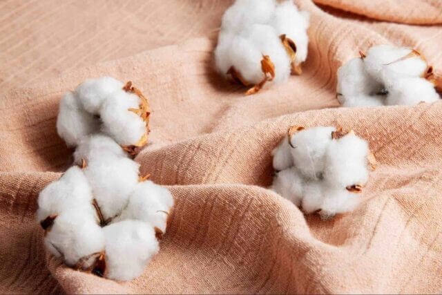 Close-up of five soft and fluffy cotton balls.