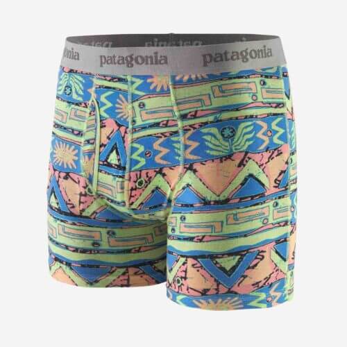 Patagonia Men's Essential Boxer Briefs - 3" Inseam in Salamander Green