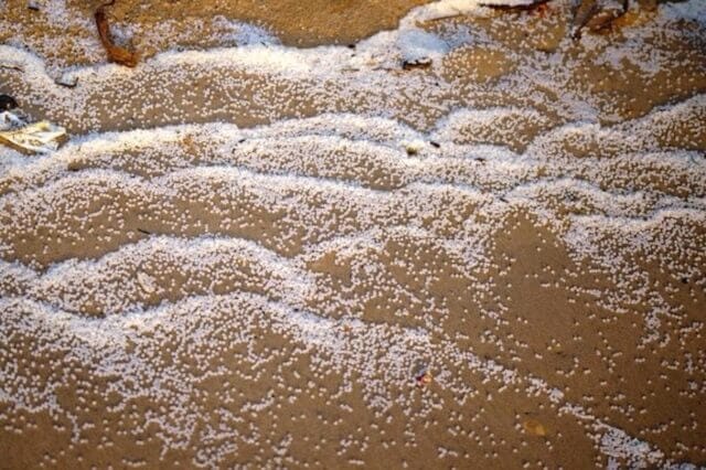 Pellets of plastic used in manufacturing washed up on a beach polluting the environment.
