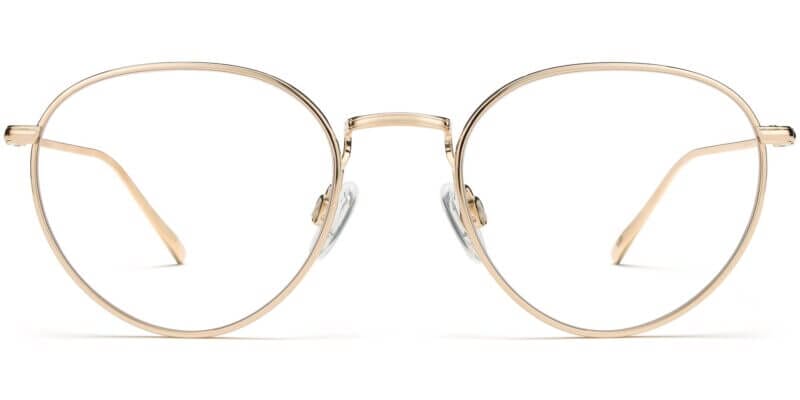 Ezra Narrow Eyeglasses in Polished Gold (Non-Rx)