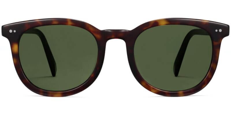 Ryland Medium Sunglasses in Cognac Tortoise (Non-Rx)