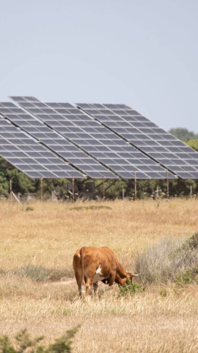 photo of solar panels