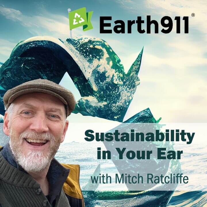 Eco-Stylist featured on the Sustainability in Your Ear Podcast wtih Mitch