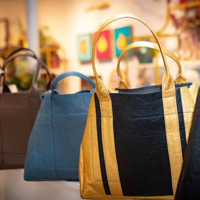 Photo of EcoPersona Bags in different colors