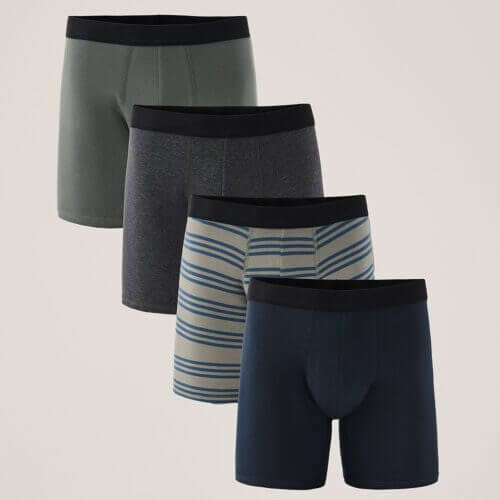 Men's Riverway Everyday Extended Boxer Brief 4-Pack M