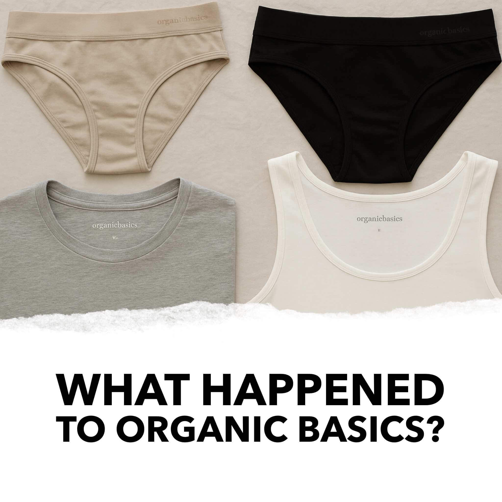 what happened to organic basics featured image
