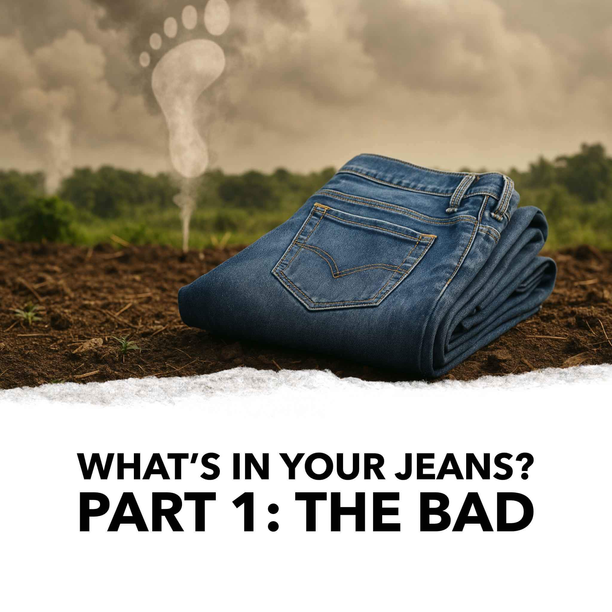 The Environmental Impact of Jeans- How Denim Fuels Fast Fashion’s Footprint Featured Blog Image